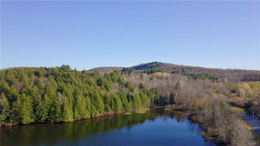 27 Tanzman Road - Photo 1