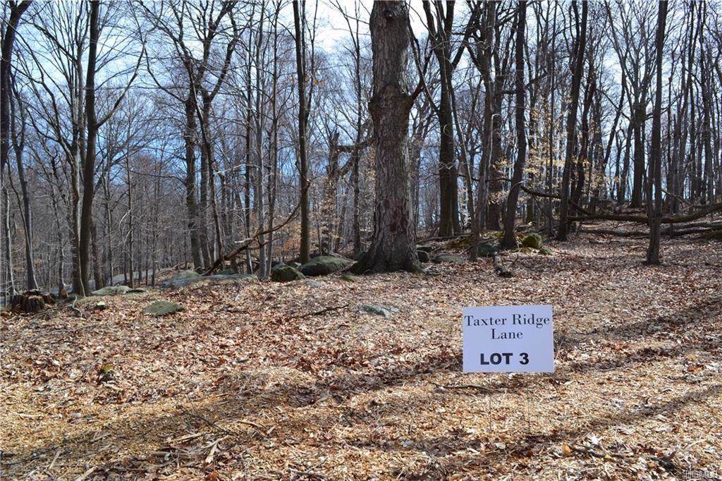 Lot 3 Taxter Ridge Lane - Photo 1