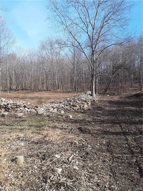 Lot 9 Midland Lake Road - Photo 1