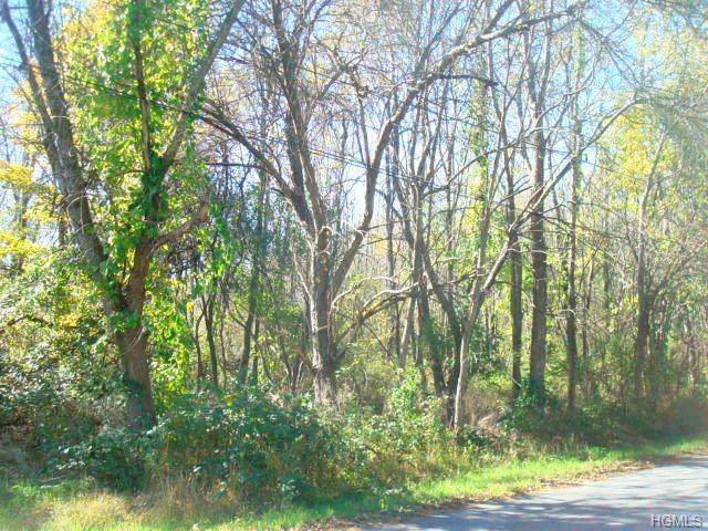 1 White Rock & Rt. 292 Road - Photo 1