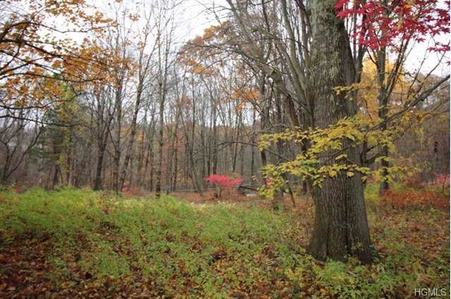 Bog Hollow Road - Photo 1
