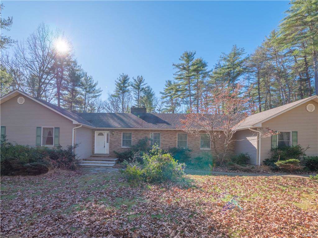 131 Upper Pine Kill Road - Photo 1