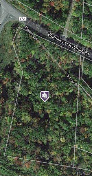 TBD Wurtsboro Mnt. Rd Road - Photo 1