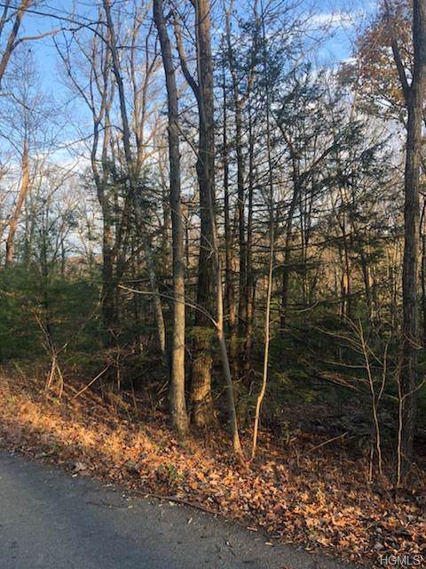 148 Shin Hollow Road - Photo 1
