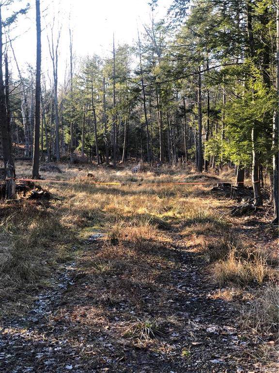 Southwoods Drive - Photo 1