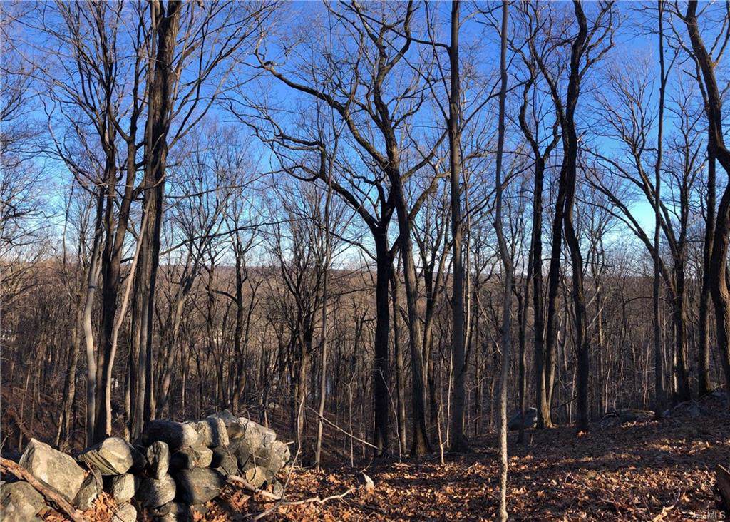 163 Hickory Kingdom Road - Photo 1