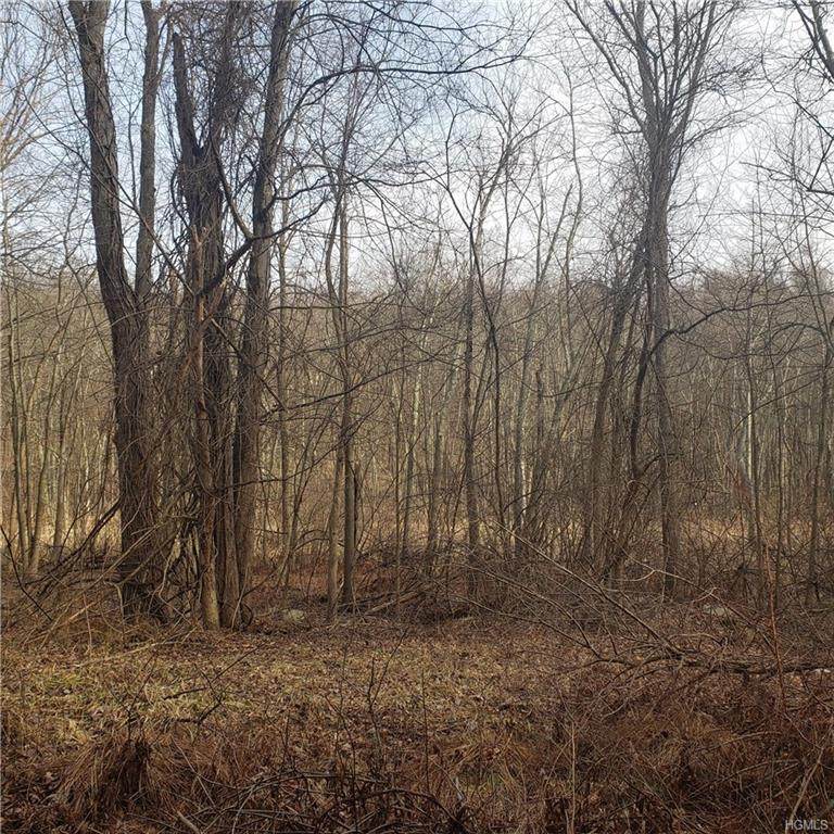 3244 Baker Highway - Photo 1