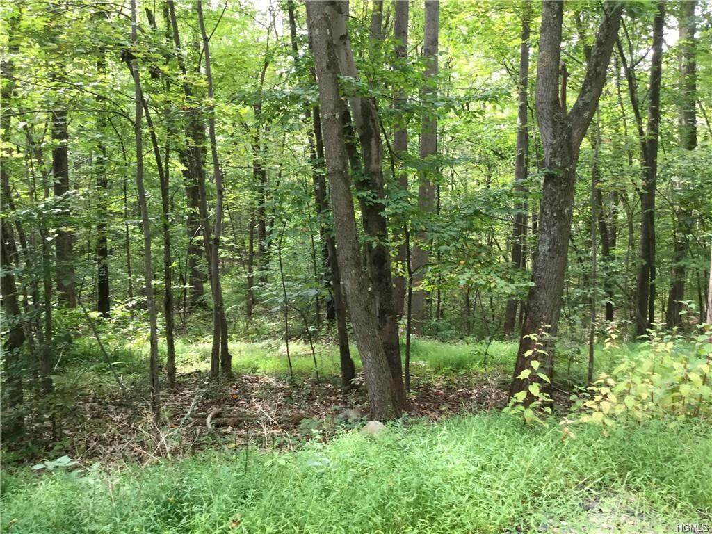 Route 208 - Photo 1