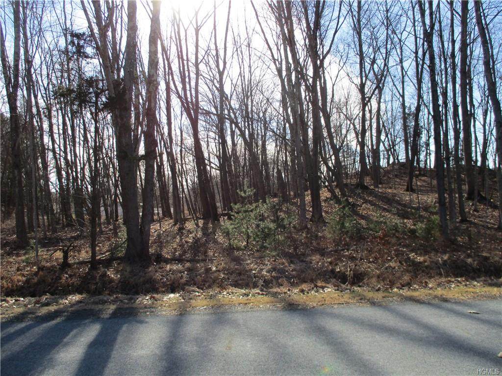 56 Route 209 - Photo 1