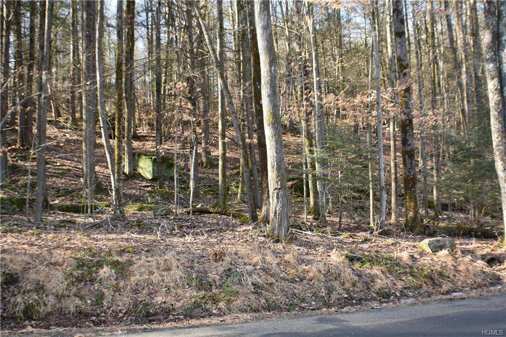 Oak Ridge Road - Photo 1