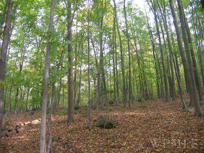 Unassigned Wiccopee Road - Photo 1