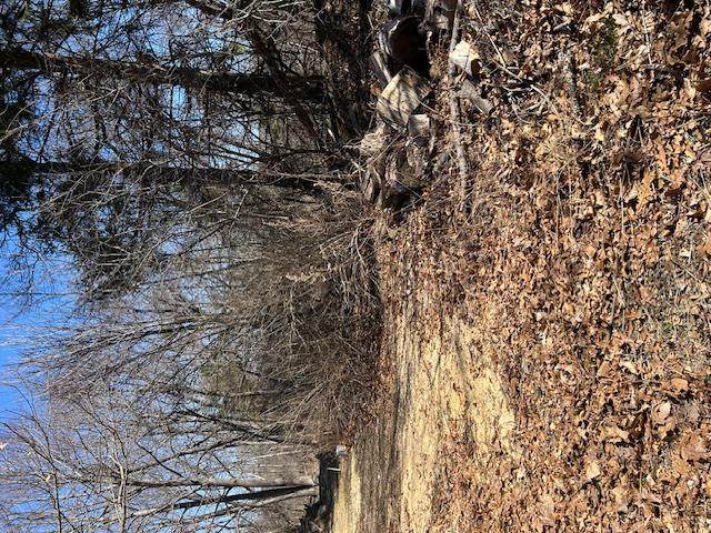  Pressler Road - Photo 1