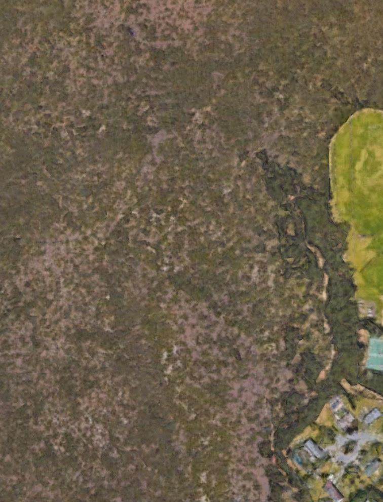  Patrick St - Photo 1