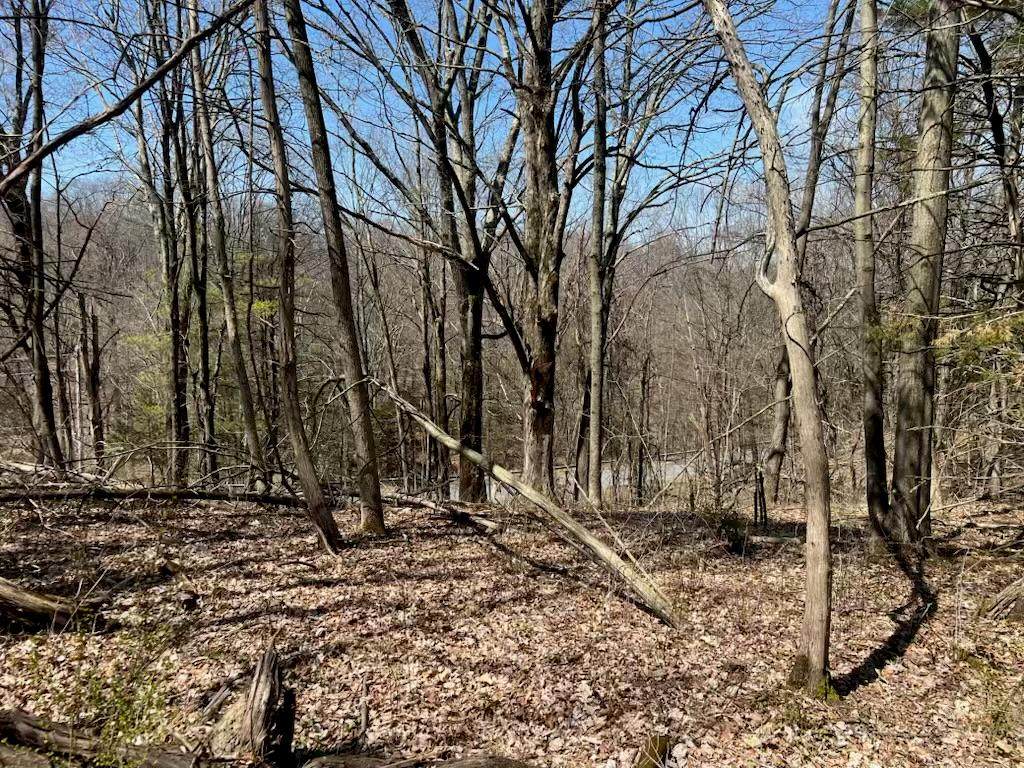 0 Taghkanic - Photo 1