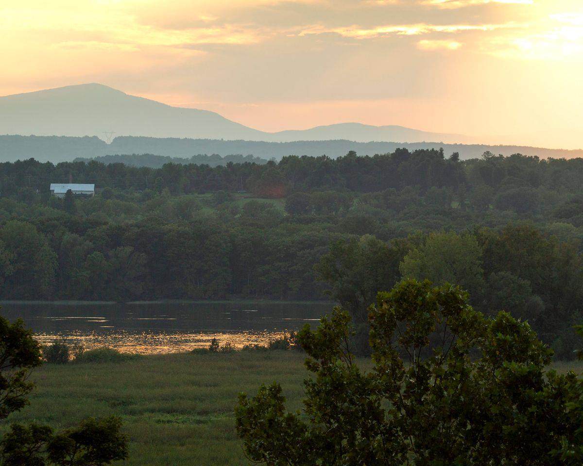 6881 Rod And Gun Road - Photo 1