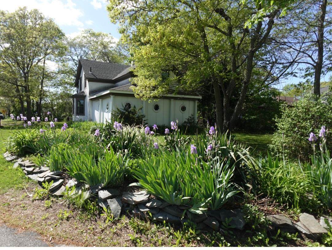 195 Brook Street - Photo 1