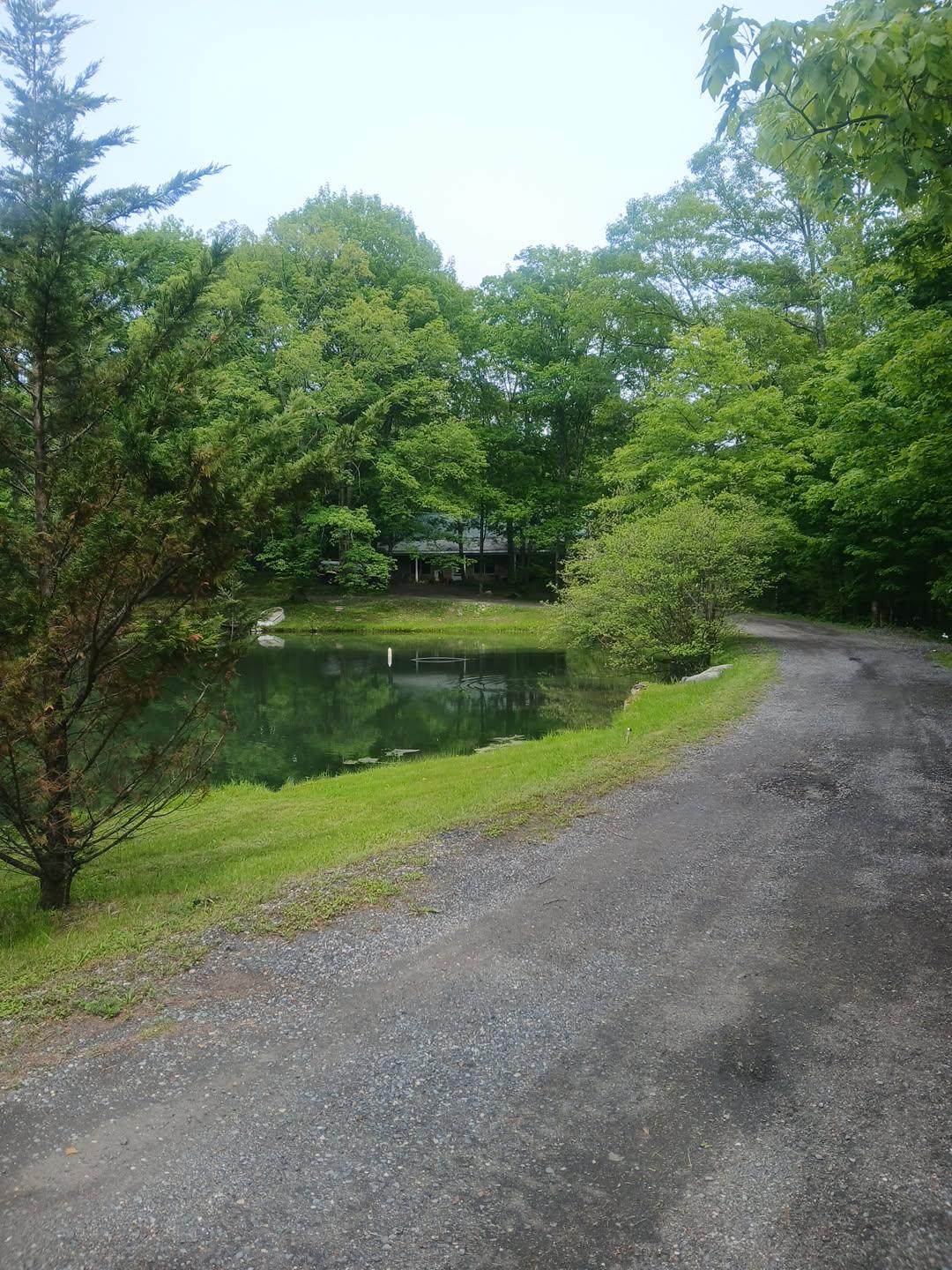 436 Roosa Gap Road - Photo 1