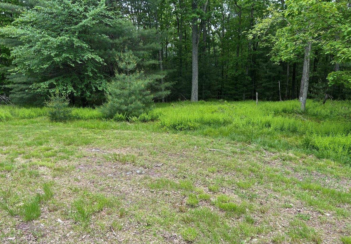 Lot 45 Split Rock Drive - Photo 1