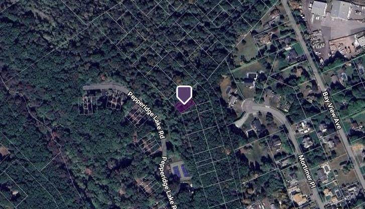 VL Park Avenue - Photo 1