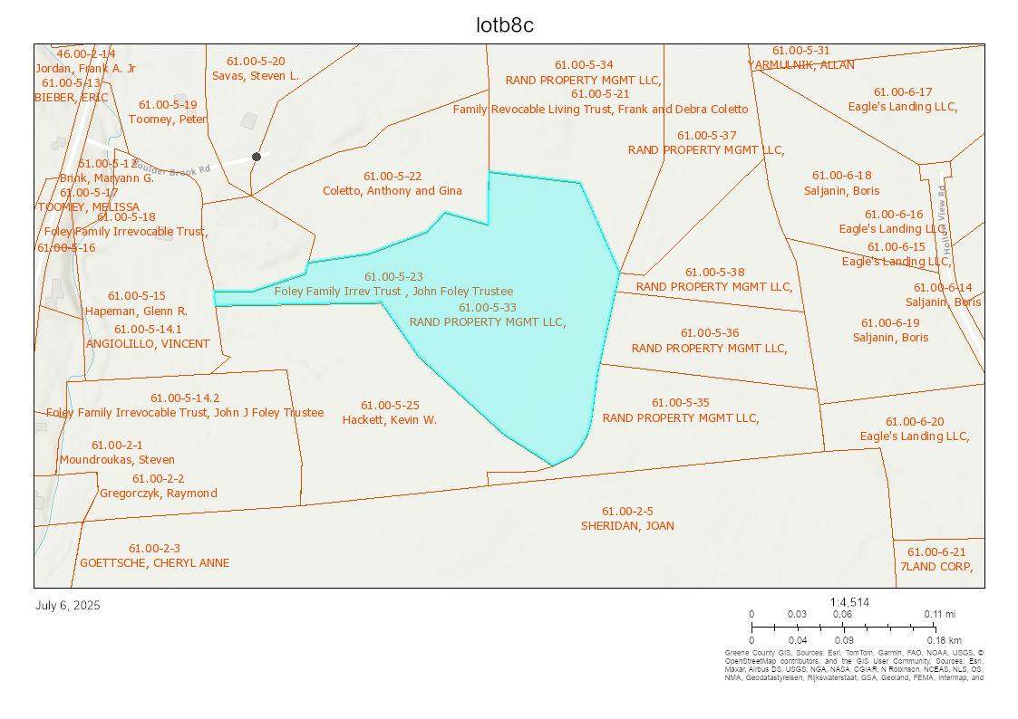 TBD Lot 8 Boulder Brook Road - Photo 1