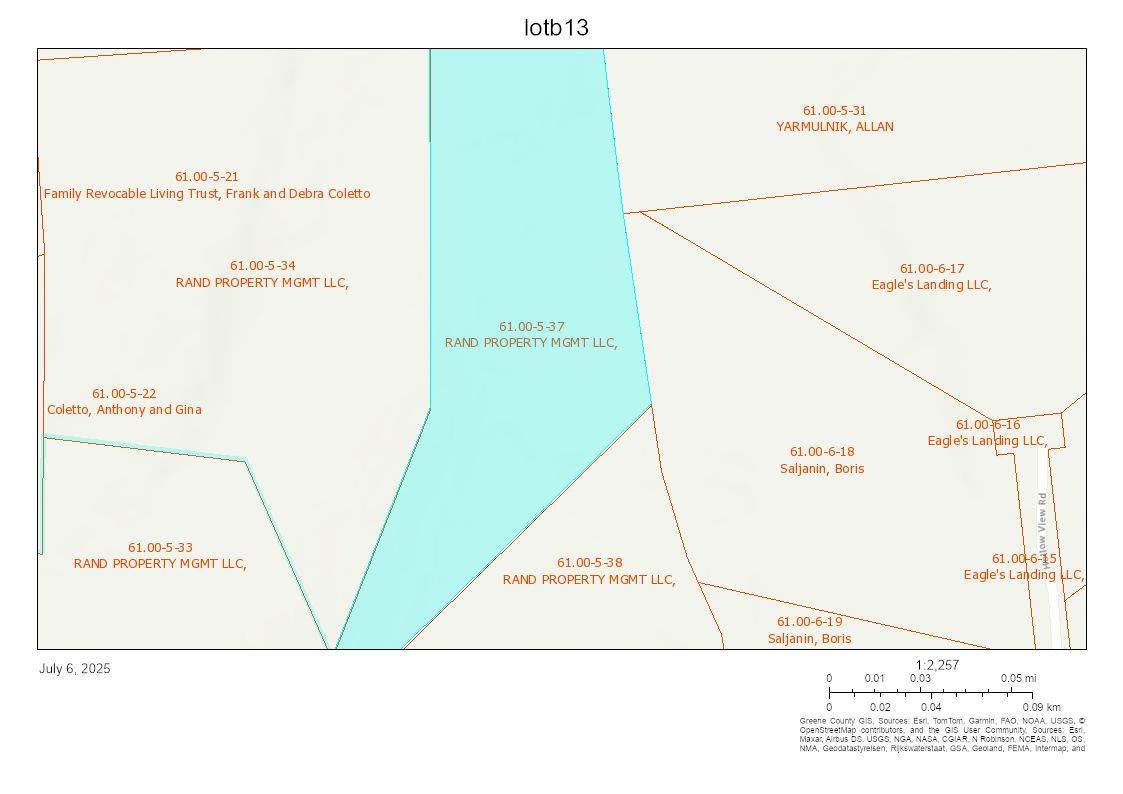 TBD Boulder Brook Lot 13B Road - Photo 1