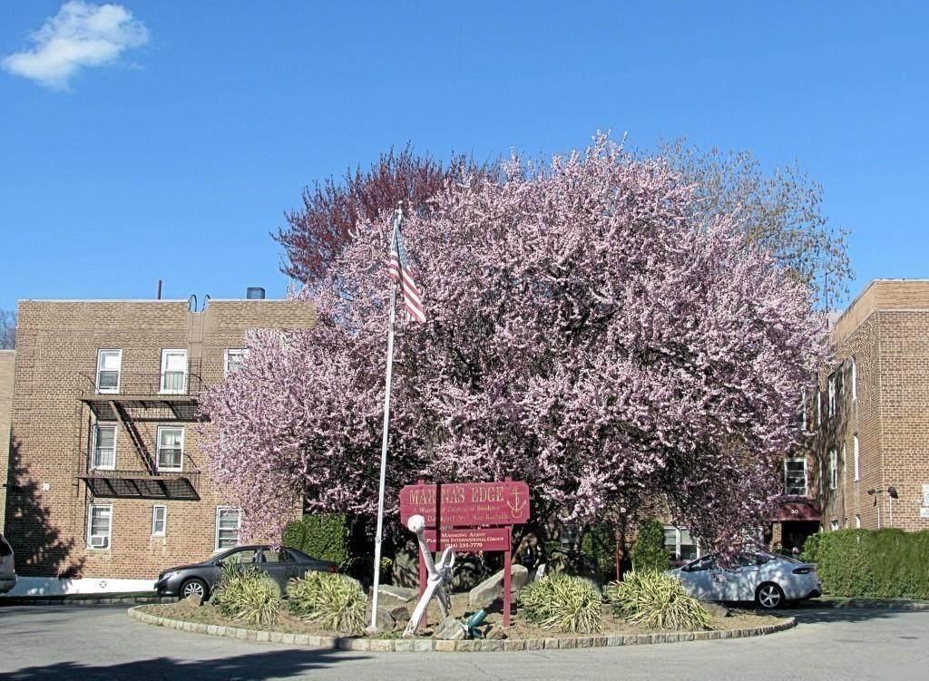 30 Davenport Avenue - Photo 1
