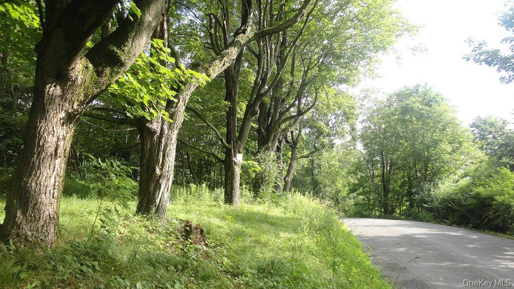  Henry Road - Photo 1