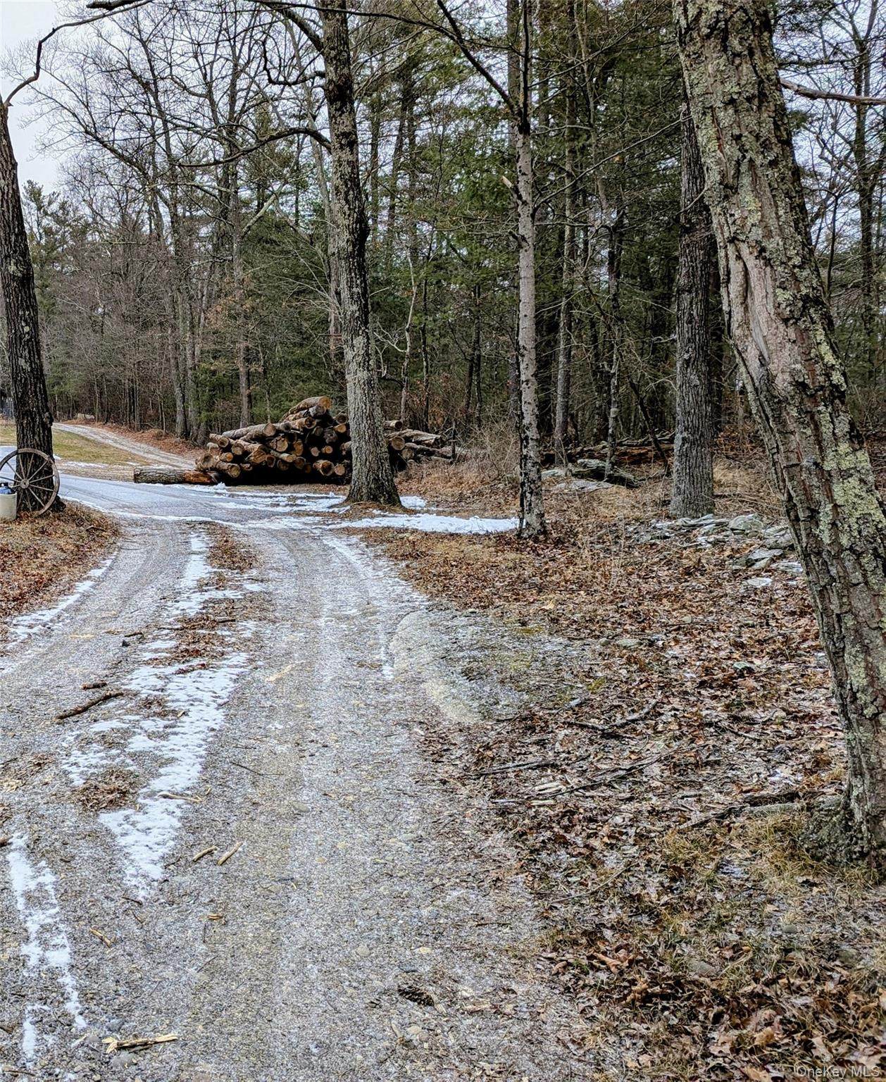  Stove Pipe Alley - Photo 1