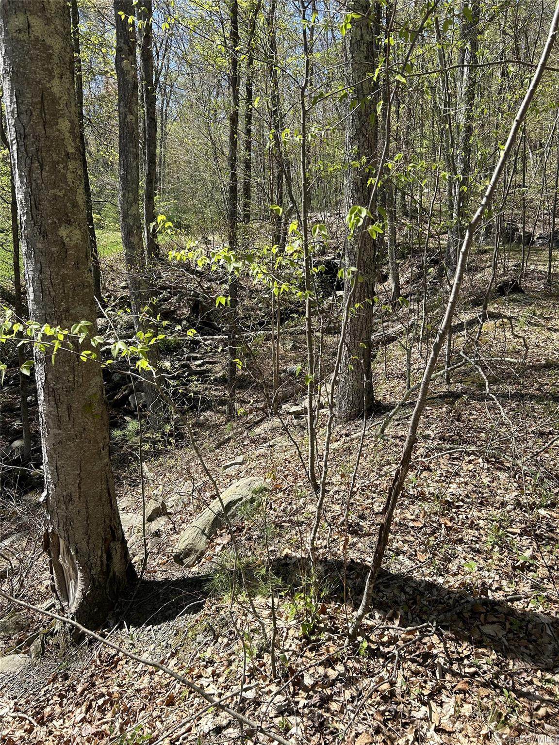 14 Hawk Mountain Drive - Photo 1