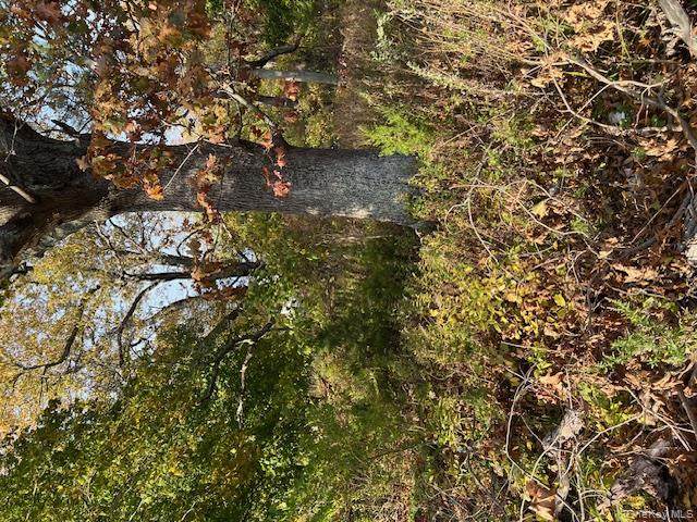 70 Old Quogue Road - Photo 1