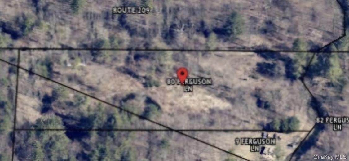 358/80 Ferguson Lane - Photo 1