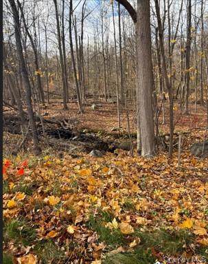 1 Airmont Road - Photo 1