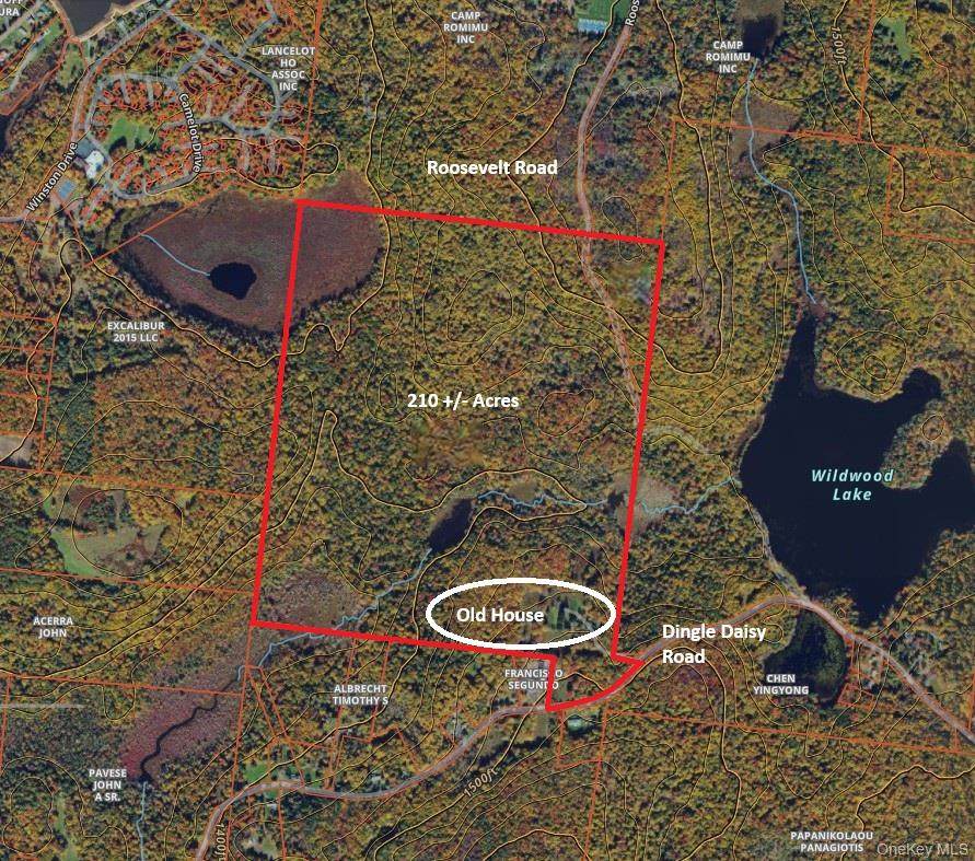 174 Dingle Daisy Road - Photo 1