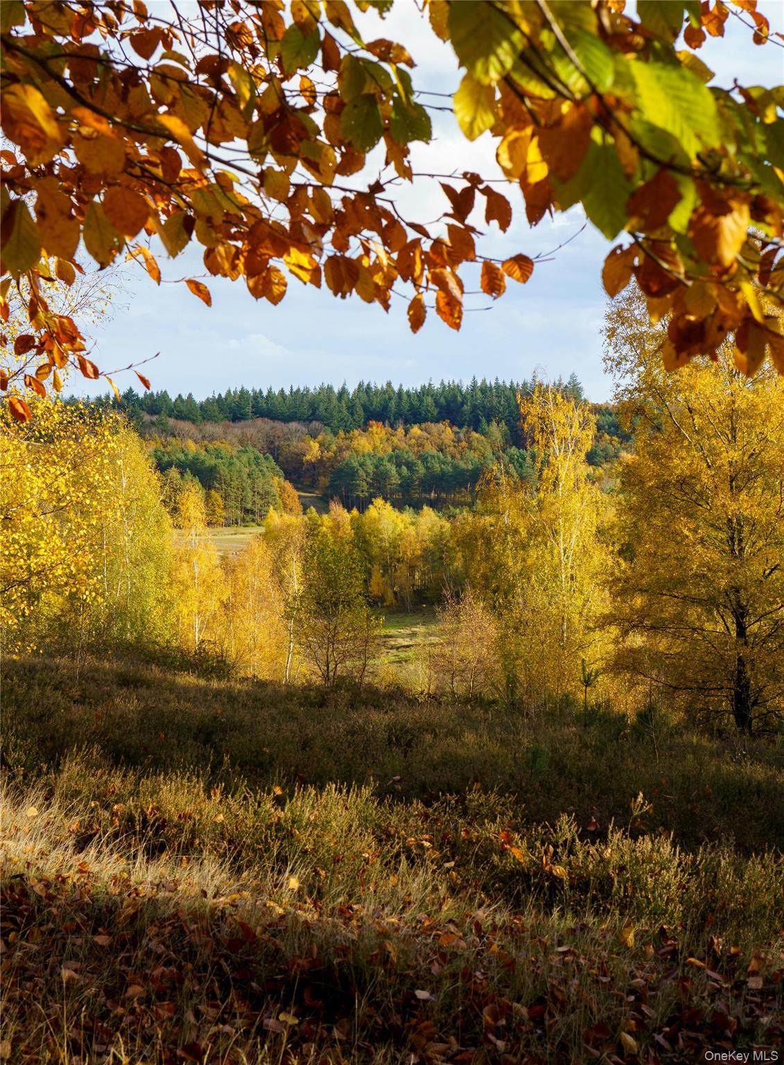 10 Hideaway Place - Photo 1