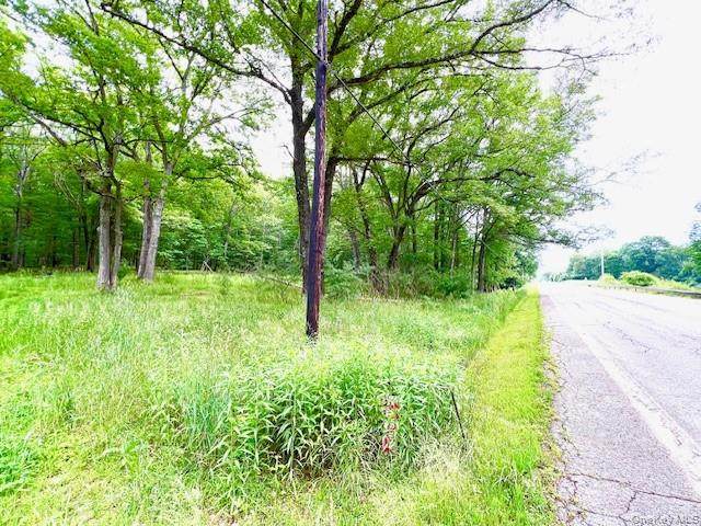 7584 Route 97 - Photo 1