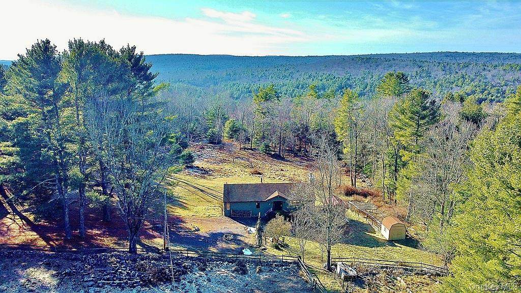 51 Forestburgh Road - Photo 1