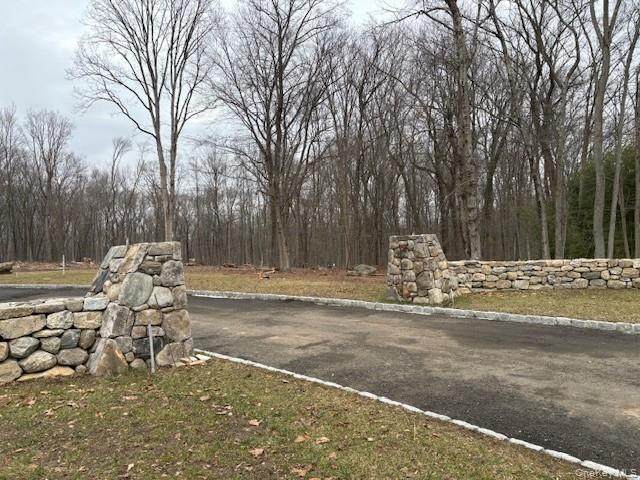 Lot 4 Lockwood Road - Photo 1