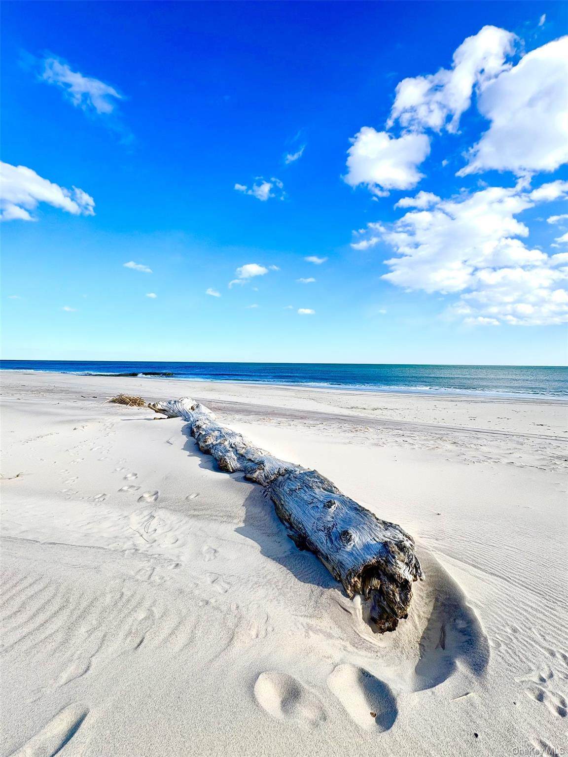 253 Dune - Photo 1