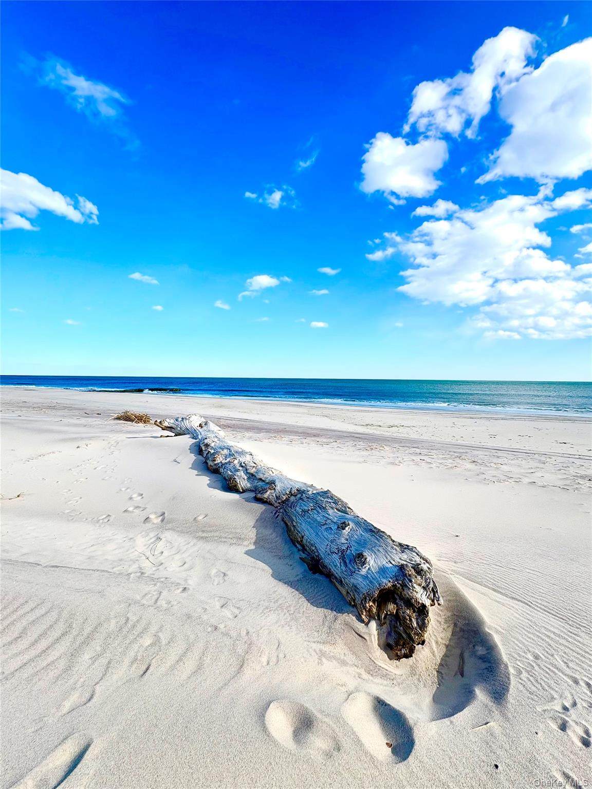 253 Dune - Photo 1