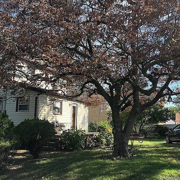 16702 73rd Avenue - Photo 1