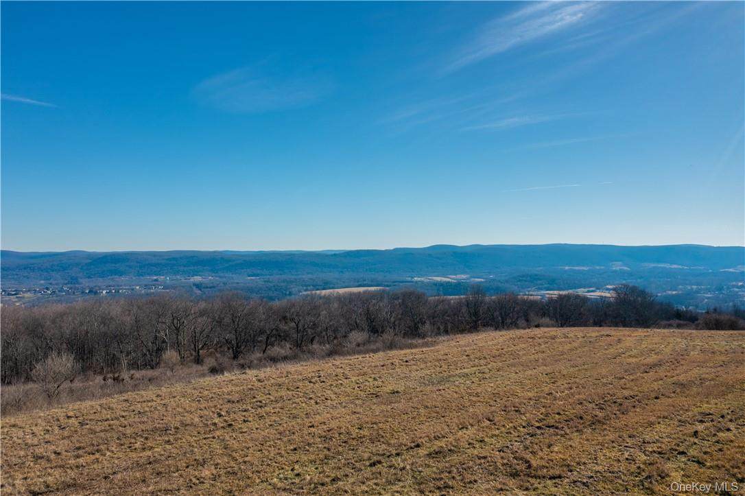 1297 Route 343 - Photo 1