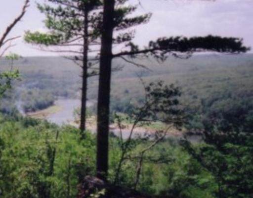 Nys Rt 97/ Baron Drive - Photo 1