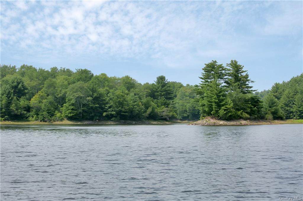 TBD Pine Grove Road - Photo 1