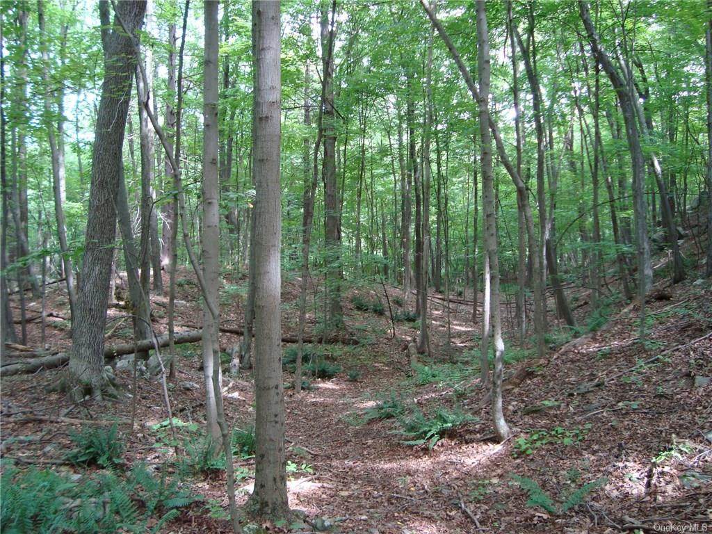11 Deer Hill Road - Photo 1