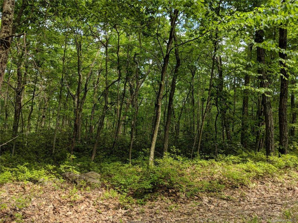 20.4 Kalin Weber Road - Photo 1