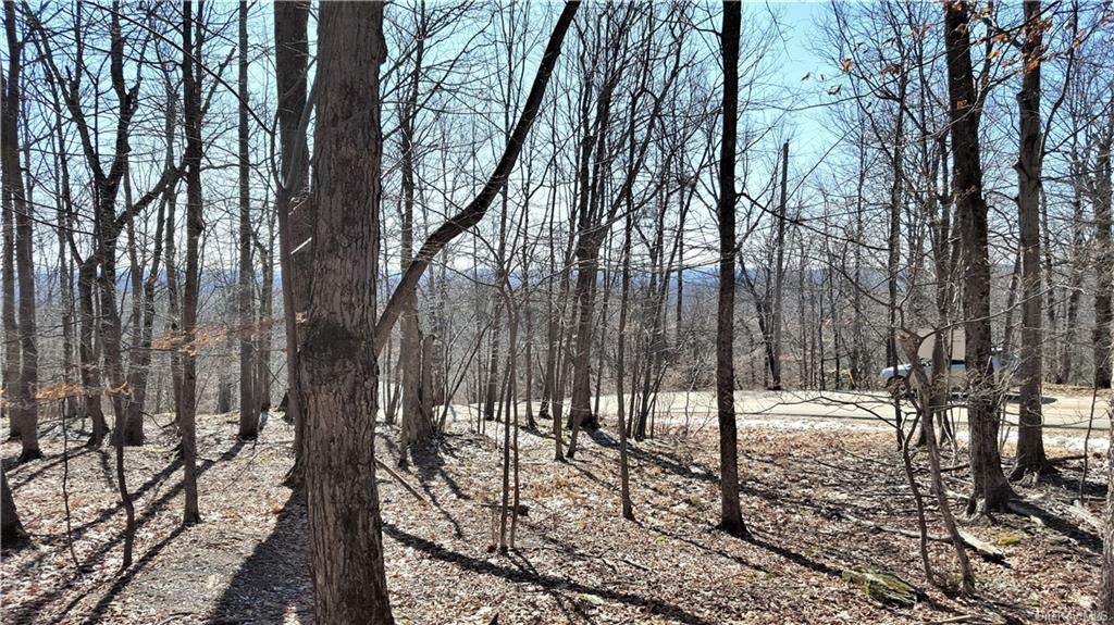 Skyline Drive - Photo 1