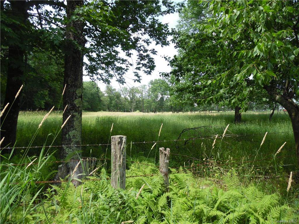 TBD Butrick Road - Photo 1