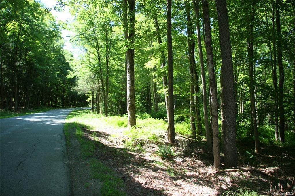 0 Mitchell Pond - Photo 1