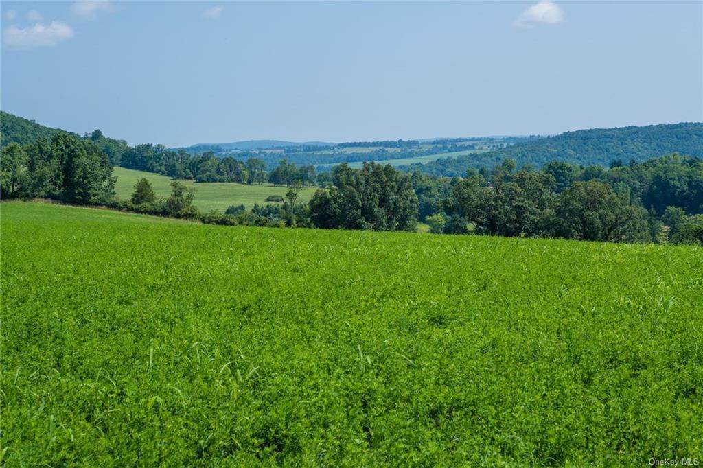 0 Millerton Road - Photo 1