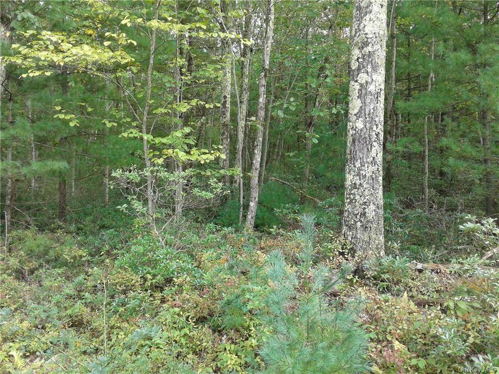 Hallenbach Road - Photo 1